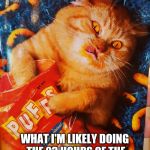 Cat eating Cheetos | WHAT I'M LIKELY DOING THE 23 HOURS OF THE DAY THAT I'M NOT AT THE GYM | image tagged in cat eating cheetos | made w/ Imgflip meme maker