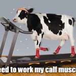 Cow Exercising | I need to work my calf muscles. | image tagged in cow exercising,memes | made w/ Imgflip meme maker