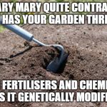 garden hoe | MARY MARY QUITE CONTRARY HOW HAS YOUR GARDEN THRIVED? WITH FERTILISERS AND CHEMICALS OR IS IT GENETICALLY MODIFIED? | image tagged in garden hoe | made w/ Imgflip meme maker