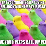 peeps | ARE YOU THINKING OF BUYING OR SELLING YOUR HOME THIS EASTER? HAVE YOUR PEEPS CALL MY PEEPS | image tagged in peeps | made w/ Imgflip meme maker