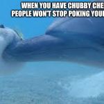 Dolphin Boops Pufferfish | WHEN YOU HAVE CHUBBY CHEEKS AND PEOPLE WON'T STOP POKING YOUR DANG FACE; NUUUUUU | image tagged in dolphin boops pufferfish | made w/ Imgflip meme maker