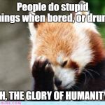 In reaction to seeing man lighting his nose on Fire. | People do stupid things when bored, or drunk. OH, THE GLORY OF HUMANITY! | image tagged in face palm red panda,face palm,wow,stupid,dumb,eye roll | made w/ Imgflip meme maker