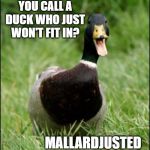 Happy Duck | WHAT DO YOU CALL A DUCK WHO JUST WON'T FIT IN? MALLARDJUSTED | image tagged in happy duck | made w/ Imgflip meme maker