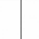 Nipsey Hussled More Than Trump