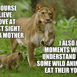 Little Buggers | OF COURSE I BELIEVE IN LOVE AT FIRST SIGHT.  I'M A MOTHER. I ALSO HAVE MOMENTS WHEN I UNDERSTAND WHY SOME WILD ANIMALS EAT THEIR YOUNG. | image tagged in lioness carrying cub,parenting,exhausted,kids these days,funny kids,memes | made w/ Imgflip meme maker