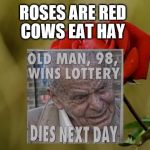 Rose | COWS EAT HAY; ROSES ARE RED | image tagged in rose | made w/ Imgflip meme maker
