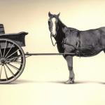 Cart before horse