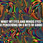 Visual | WHAT MY EYES AND MINDS EYES WERE PERCEIVING ON 4 HITS OF GOOD LSD | image tagged in visual | made w/ Imgflip meme maker