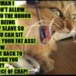 GET BACK TO WORK | HUMAN I DON'T ALLOW YOU THE HONOR OF BEING MY SLAVE SO YOU CAN SIT ON YOUR FAT ASS! NOW GET BACK TO WORK YOU LAZY PIECE OF CRAP! | image tagged in get back to work | made w/ Imgflip meme maker