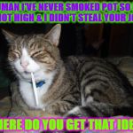 OBVIOUS POTHEAD | HUMAN I'VE NEVER SMOKED POT SO NO I'M NOT HIGH & I DIDN'T STEAL YOUR JOINT! WHERE DO YOU GET THAT IDEA? | image tagged in obvious pothead | made w/ Imgflip meme maker
