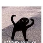 Angery as Fuk
