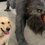 dog next to werewolf