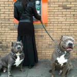GUARD DOGS AT ATM