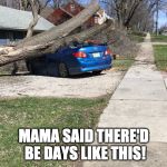 Tree on Car | MAMA SAID THERE'D BE DAYS LIKE THIS! | image tagged in tree on car | made w/ Imgflip meme maker