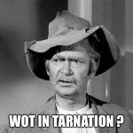 uncle jed | WOT IN TARNATION ? | image tagged in uncle jed | made w/ Imgflip meme maker