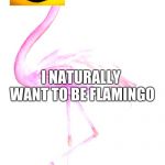 Roblox Flamingo | I NATURALLY WANT TO BE FLAMINGO | image tagged in roblox flamingo,flamingo | made w/ Imgflip meme maker