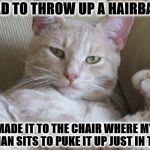 JUST IN TIME | HAD TO THROW UP A HAIRBALL; MADE IT TO THE CHAIR WHERE MY HUMAN SITS TO PUKE IT UP JUST IN TIME! | image tagged in just in time | made w/ Imgflip meme maker