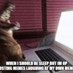meming | WHEN I SHOULD BE SLEEP BUT IM UP POSTING MEMES LAUGHING AT MY OWN MEMES | image tagged in meming | made w/ Imgflip meme maker