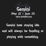 Gemini Zodiac Sign