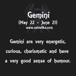 Gemini - Energetic & Charismatic