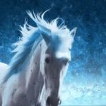 Unicorn GIF Template