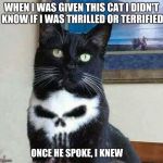 Some gifts are better than others | WHEN I WAS GIVEN THIS CAT I DIDN'T KNOW IF I WAS THRILLED OR TERRIFIED; ONCE HE SPOKE, I KNEW | image tagged in punisher cat,evil cat,gifts,scary,skull | made w/ Imgflip meme maker