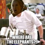 Lamb Sauce | WHERE ARE THE ELEPHANTS?! | image tagged in lamb sauce | made w/ Imgflip meme maker