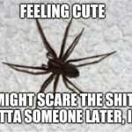 Feeling cute spider | image tagged in feeling cute spider | made w/ Imgflip meme maker