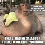 Order large amount of food then say you are on a diet | I'LL HAVE TWO BIG MACS WITH THE LETTUCE ON THE SIDE; THERE I HAD MY SALAD FOR TODAY, I'M ON A DIET YOU KNOW | image tagged in obese monkey,salad,diet,big mac | made w/ Imgflip meme maker