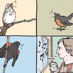 Singing Birds falseknees.com
