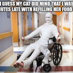 Be warned! | I GUESS MY CAT DID MIND THAT I WAS 6 MINUTES LATE WITH REFILLING HER FOOD BOWL | image tagged in injured guy | made w/ Imgflip meme maker