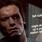 He'll be back! | felt cute; might shoot up a police station later, idk | image tagged in the terminator damaged,feeling cute,felt cute,memes,the terminator,arnold schwarzenegger | made w/ Imgflip meme maker