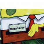 spongebob meme expert