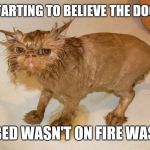 NOT FUNNY | I'M STARTING TO BELIEVE THE DOG LIED; MY BED WASN'T ON FIRE WAS IT? | image tagged in not funny | made w/ Imgflip meme maker