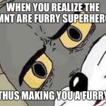 Tom Face Meme | WHEN YOU REALIZE THE TMNT ARE FURRY SUPERHEROS; THUS MAKING YOU A FURRY | image tagged in tom face meme | made w/ Imgflip meme maker