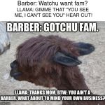 LLama Hear Your Augmented Reality | Barber: Watchu want fam? LLAMA: GIMME THAT "YOU SEE ME, I CAN'T SEE YOU" HEAR CUT! BARBER: GOTCHU FAM. LLAMA: THANKS MOM, BTW: YOU AIN'T A BARBER. WHAT ABOUT TO MIND YOUR OWN BUSINESS? | image tagged in llama hear your augmented reality | made w/ Imgflip meme maker