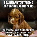 Insecure Puppy meme