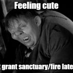 Quasimodo | Feeling cute; Might grant sanctuary/fire later, IDK. | image tagged in quasimodo | made w/ Imgflip meme maker