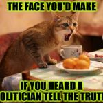 THE FACE YOU'D MAKE | THE FACE YOU'D MAKE; IF YOU HEARD A POLITICIAN TELL THE TRUTH! | image tagged in the face you'd make | made w/ Imgflip meme maker