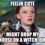 Toto Wizard of Oz | FEELIN CUTE; MIGHT DROP MY HOUSE ON A WITCH IDK... | image tagged in toto wizard of oz | made w/ Imgflip meme maker