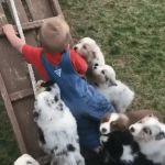 Puppies GIF Template