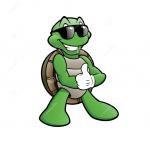 Safety Turtle