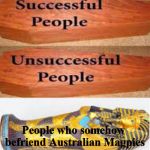 How australians bury their people | People who somehow befriend Australian Magpies | image tagged in successful people,australia,magpie,birds | made w/ Imgflip meme maker