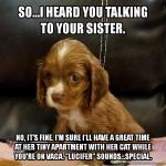 Insecure Puppy meme