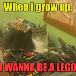 This is my cat, Amee. She wants to be a LEGO | When I grow up, I WANNA BE A LEGO | image tagged in funny cats | made w/ Imgflip meme maker