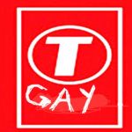 T-Gay | image tagged in t-series | made w/ Imgflip meme maker