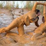 Mud wrestling