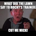Adrian!!! | WHAT DID THE LAWN SAY TO ROCKY'S TRAINER? CUT ME MICK! | image tagged in micky rocky,lawn | made w/ Imgflip meme maker