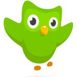 Duolingo Bird