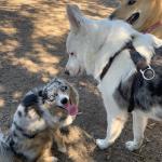 I'm Totally Exonerated meme